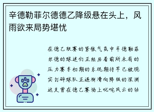 辛德勒菲尔德德乙降级悬在头上，风雨欲来局势堪忧